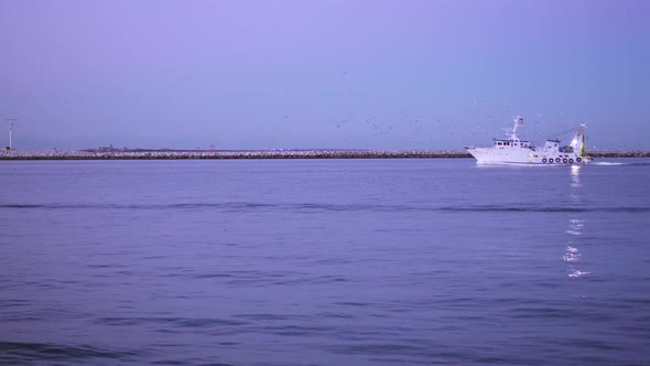 Fishing Boat Sails on the River with Birds Flying Around It