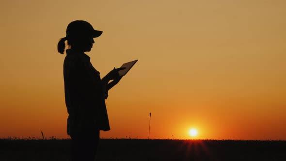Silhouette of a Farmer Working with a Tablet in a Field at Sunset