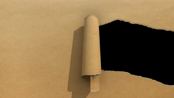 Ripped Paper Brown alt