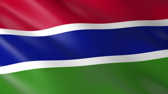 Flag of The Gambia