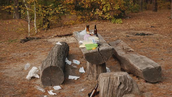 Rubbish Left By People After Relaxing in a Pine Forest