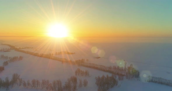 Aerial Drone View of Cold Winter Landscape with Arctic Field Trees Covered with Frost Snow and