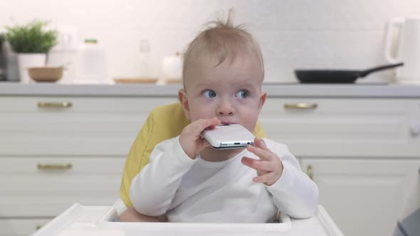 Child Having Fun Playing with Mobile Device Oneyearold Baby Boy Holding Mobile Phone Portrait of