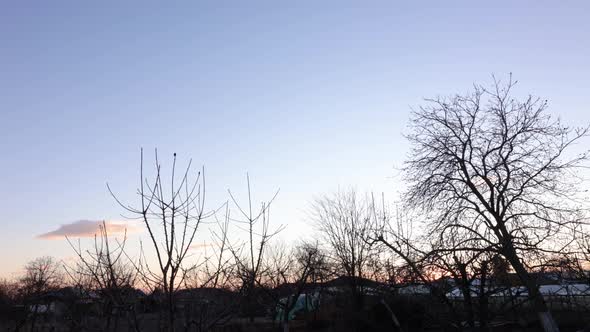 Timelapse With Church, Flying Birds And Moving Clouds