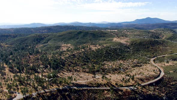 Small Asphalt Road in Laguna Mountains, South California