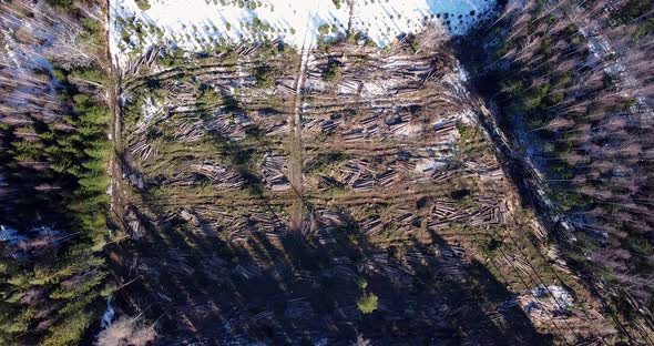 Top Down View Over Deforestation