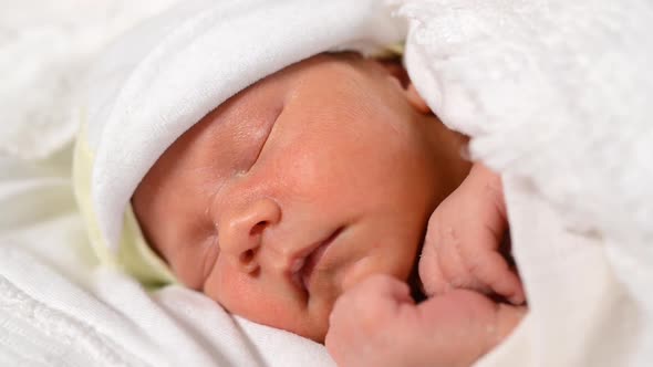 Adorable Newborn Baby Sleeping in Shelf in the Dresser