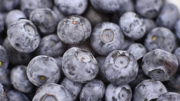 blueberry berries closeup background for cooking fruits summer