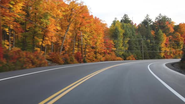 Driving on American highway with trees around in autumn