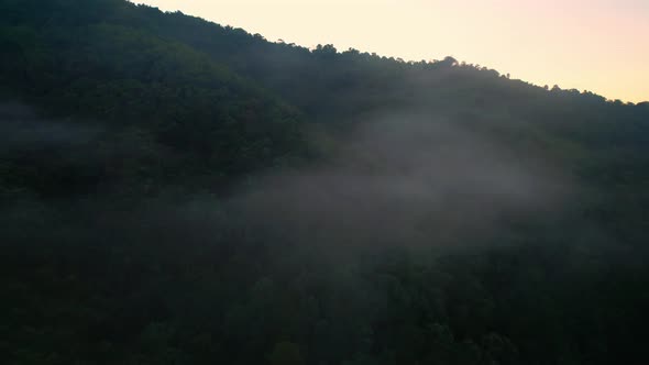 4K Aerial view of the misty sunrise in the forest. Tropical Rainforest in Thailand