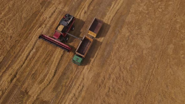 Combine Harvester Working In The Field.