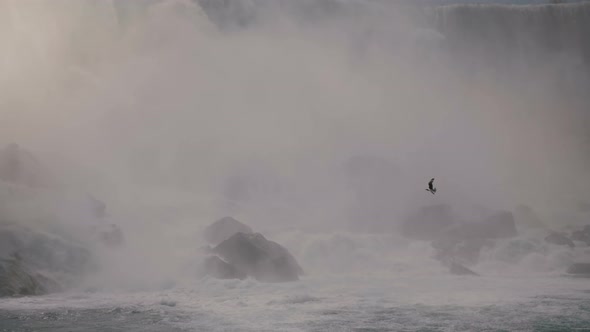 Amazing Close-up Shot of Bird Flying Above Raging Water Stream Rushing Down Rocks and Spray Mist Fog