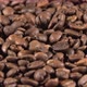 Freshly Roasted Coffee Beans Are Spilled 1 - VideoHive Item for Sale