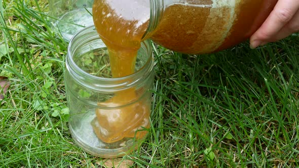 Pouring fresh organic honey in glass jar out of doors