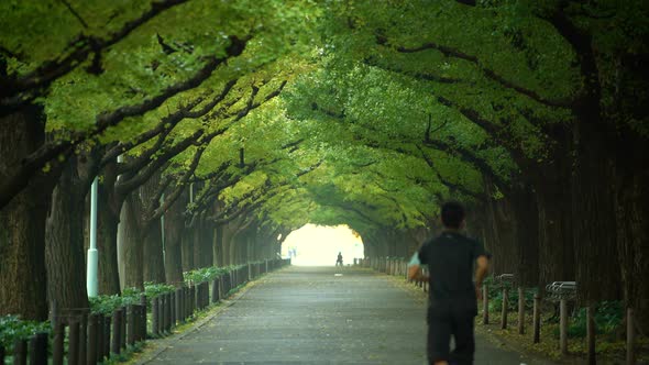 Man Running for Exercise in a Park in Tokyo