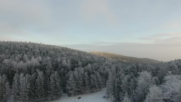 Drone video of winter forest