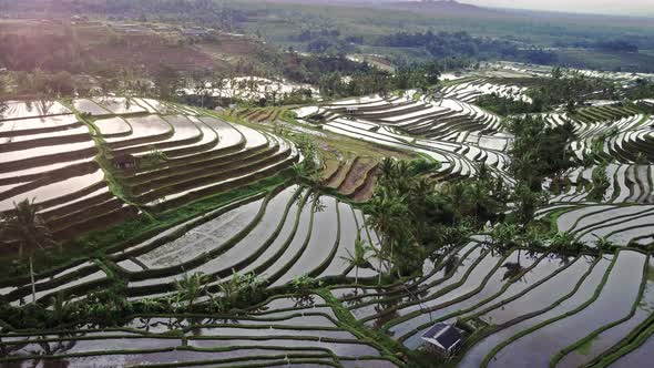 Aerial video in an amazing landscape rice field on Jatiluwih Rice Terraces, Bali, Indonesia.