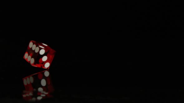 Dice spinning on black surface, Slow Motion