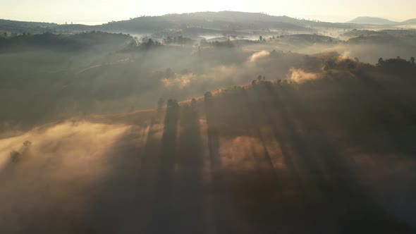 4K Aerial view flying in fog. the sun is hidden behind the clouds at sunset fog.