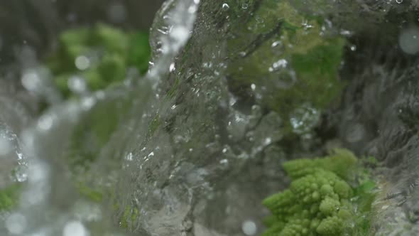 Throwing romanesco broccoli into boiling water. Slow Motion.