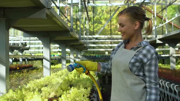 Joyful Lady Farmer Holding Irrigation Hose and Watering Plants in Greenhouse