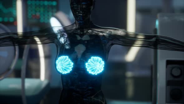 Medical Scan of Woman Breast alt