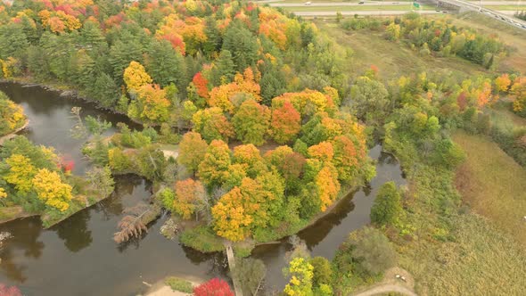 Drone lowering over city park in fall while approaching nice trees