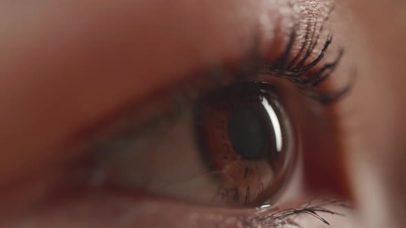 Close Up Woman Brown Eye