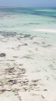 Tanzania  Vertical Video of Low Tide in the Ocean Near the Coast of Zanzibar Slow Motion