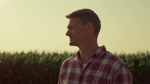 Agronomist Inspecting Harvesting Field in Sunlight Closeup