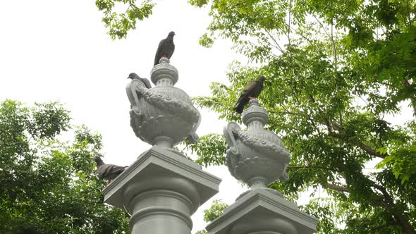 Birds with Fence Sculpture