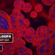 RED POLKADOT DNA - VideoHive Item for Sale
