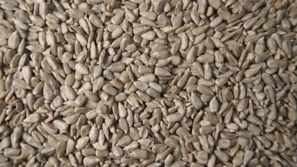 Sunflower Seeds as Food Background