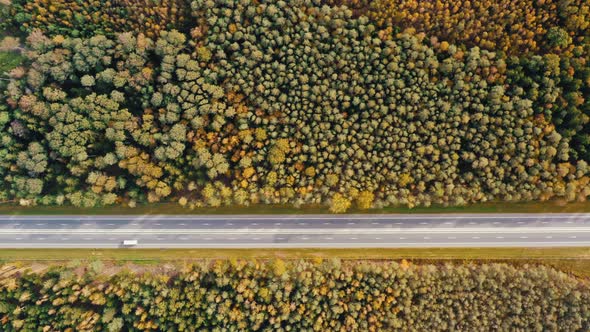 Aerial Top Down Drone Shot Cars Driving Along Straight Country Road in Autumn Forest. Fall Season