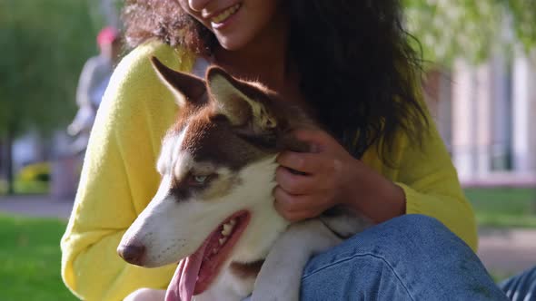 Girl Stroking Her Husky Dog with Love