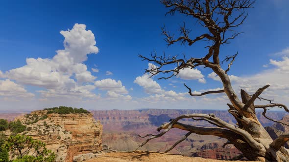 Time Lapse At The North Rim Of The Grand Canyon