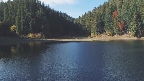 Calm Blue Mountain Lake Reflecting Pine Tree Silhouettes