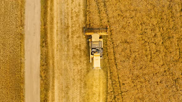 Aerial view of yellow combine harvesting field in Poland