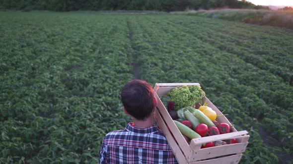 The Farmer is Holding a Box of Organic Vegetables