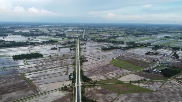 Aerial panning view the water season at paddy field