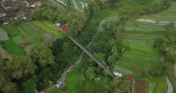 POI drone shot of metal suspension bridge build over valley with river on the bottom and surrounded