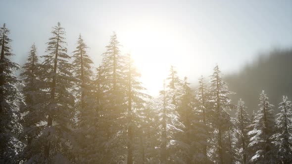 Dramatic Winter Sunrise in the Mountains