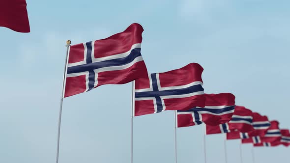 Norway Row Of Flags 