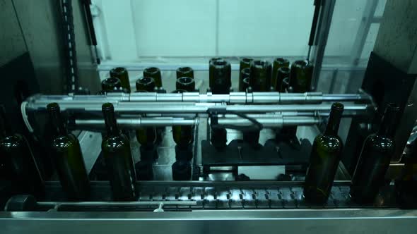 Conveyor with Wine Bottles at Wine Factory White Wine Production Bottle Washing and Filling