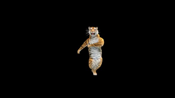Tiger Dancing HD