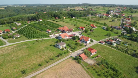 Aerial landscape, beautiful green hills of vineyards.