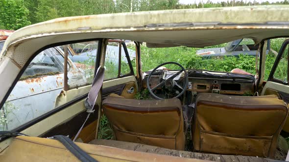 Old Rusty Cars on Car Dump Site in Forest. Camera Moving Backwards From Inside of a Car To Outside