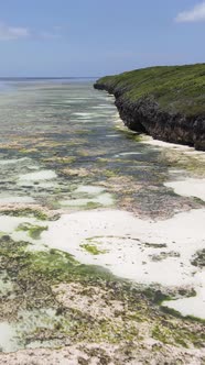 Tanzania  Vertical Video of Low Tide in the Ocean Near the Coast of Zanzibar Slow Motion