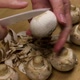 Cleaning the Mushrooms - VideoHive Item for Sale