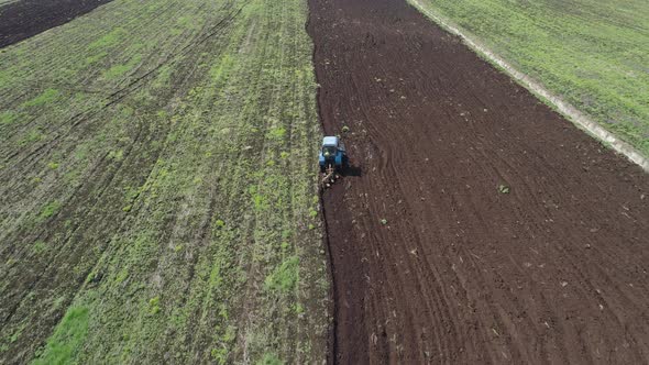Tractor Plows Farm Land